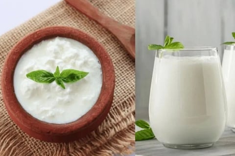 curd