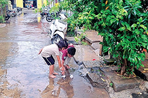 dvg-rain-2.jpg
