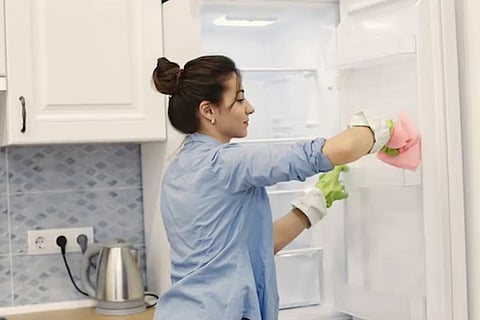 fridge 2