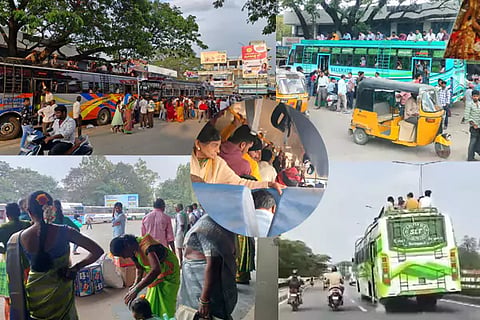 Govt Bus