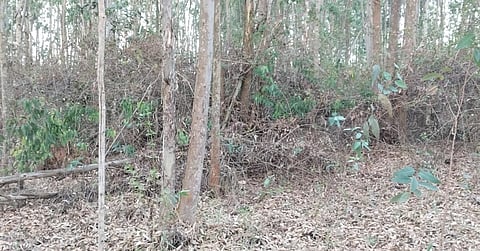 kadripura