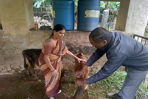 kandu roga
