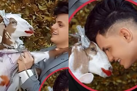 man marry goat