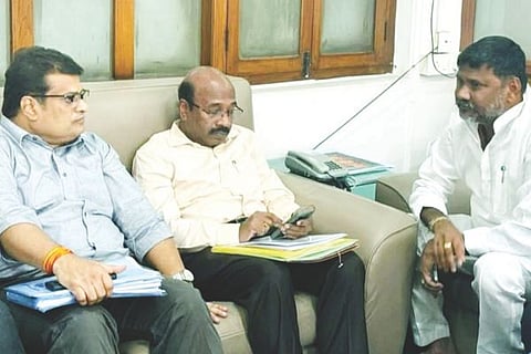 maski mla