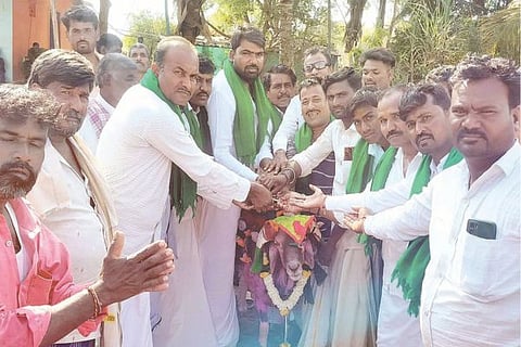 mdl tagaru