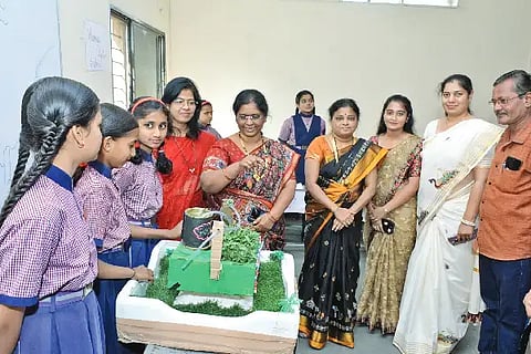 mm sham school