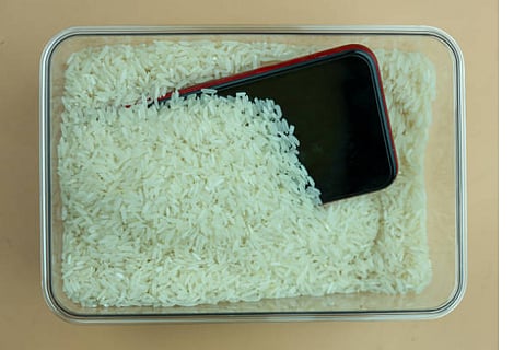 mobile with rice