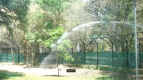 mysore zoo