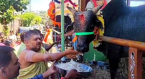 nandi ratha