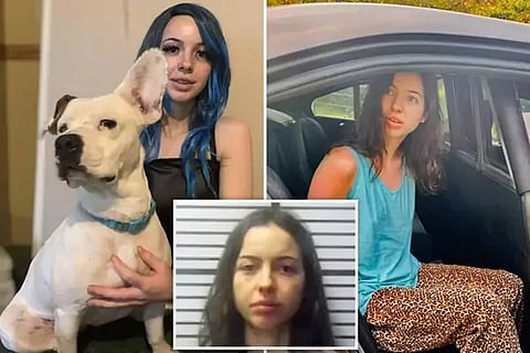 Pet Dogs