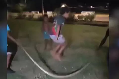 Python