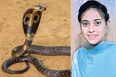 Snake Bites