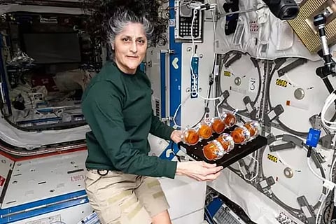 Sunita Williams