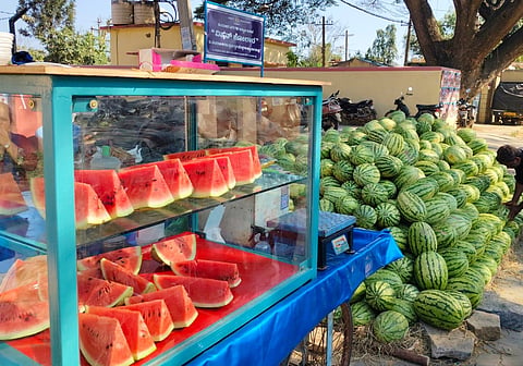 watermelon