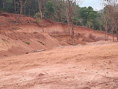 ylp aranya nasha