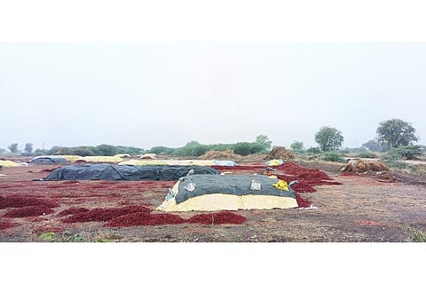 03 kurugodu 01