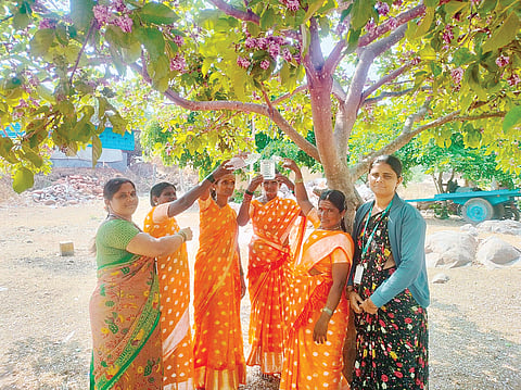 ಸಿರಿಗೇರಿ ಗ್ರಾಮದಲ್ಲಿ ಶ್ರೀ ಧರ್ಮಸ್ಥಳ ಗ್ರಾಮಾಭಿವೃದ್ಧಿ ಯೋಜನೆಯಿಂದ ಹೇಮಾವತಿ ಅಮ್ಮ ಅವರ ಜನ್ಮದಿನದ ಪ್ರಯುಕ್ತ ಪಕ್ಷಿಗಳಿಗೆ ನೀರಿನ ವ್ಯವಸ್ಥೆ ಮಾಡಲಾಯಿತು.