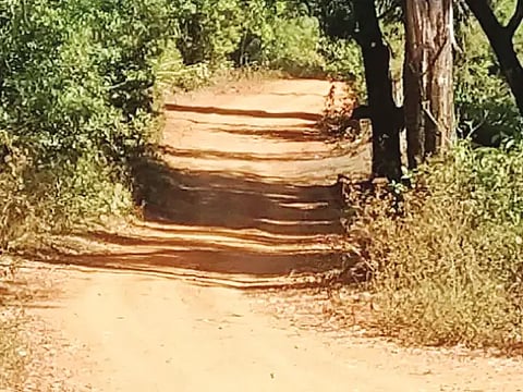 12sri-1 road