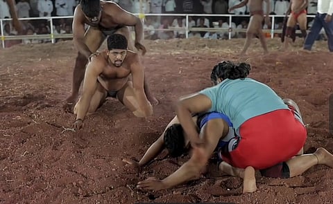 15Sambaragi1
