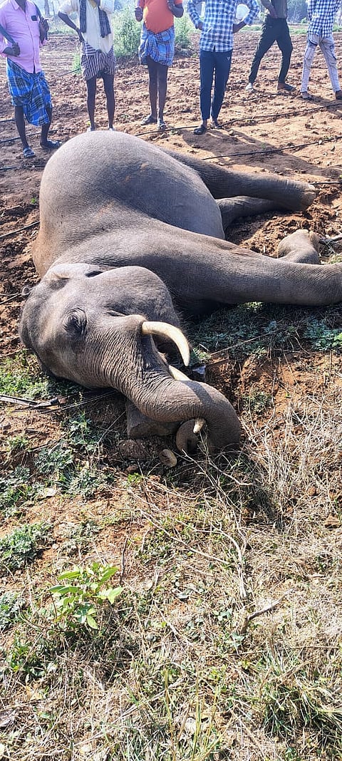 17Rajesh5