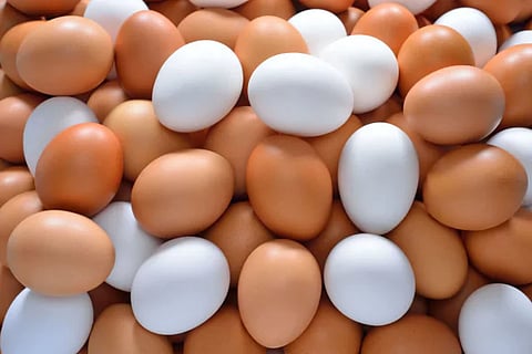 9-67f80d9e209c0