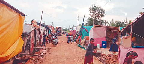 Alemari people in hanagal town