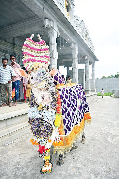 Basavappa