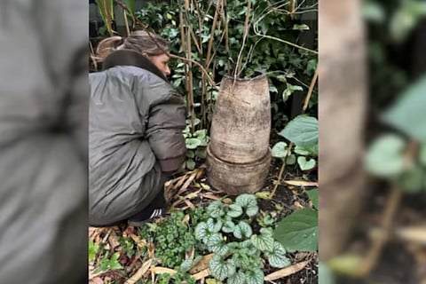 Broken Flower Vase Found In UK Garden Sells For Whopping Rs 56 Lakh