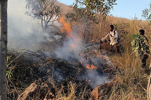 CTD FIRe.......