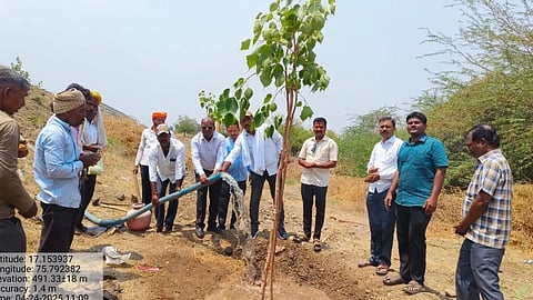 Forest Department launches sapling planting campaign