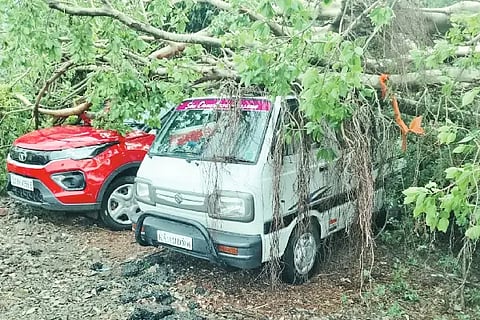 Heavy damage from wind and rain