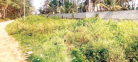 ಕೆಸರು ತುಂಬಿದ ಜಾಗದಲ್ಲಿ ಶವ ಸಂಸ್ಕಾರ
