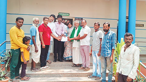 LXR MANAVI