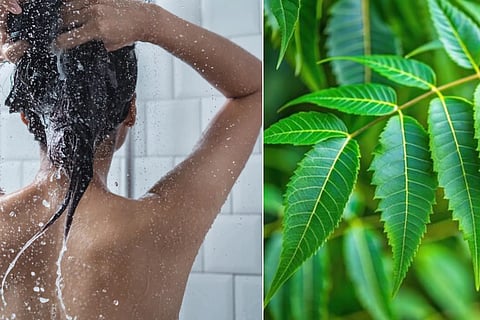 Neem