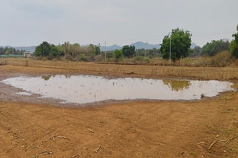 Rain