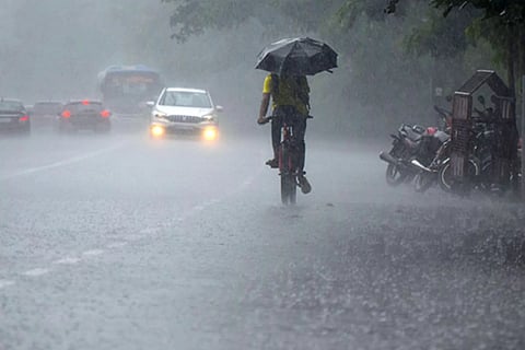 Rain Alert