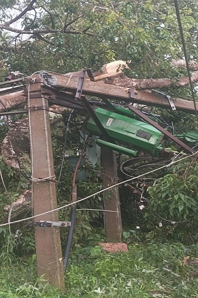 Rain damage