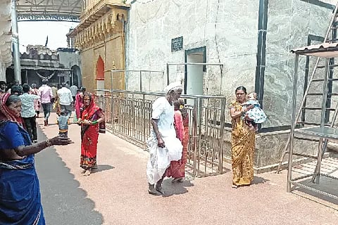Roaming in the scorching sun