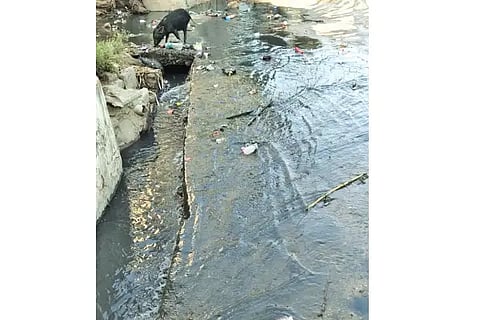 Sewage water flowing on the road