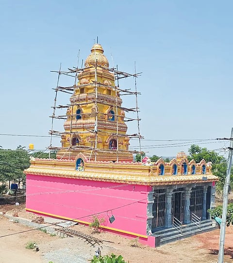 Shigli degula