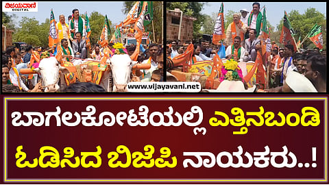 BJP Protest