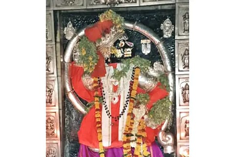 Various programs on the occasion of Hanuman Jayanti