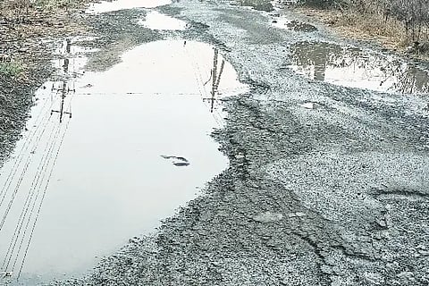 Varuna's irrigation in Mahalingapur