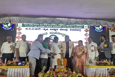 agri vv