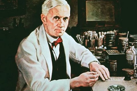 alexan