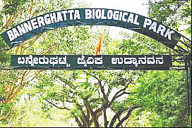 baneerghata