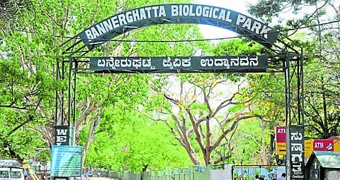 banneru