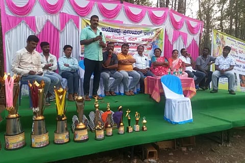 bhr cricket