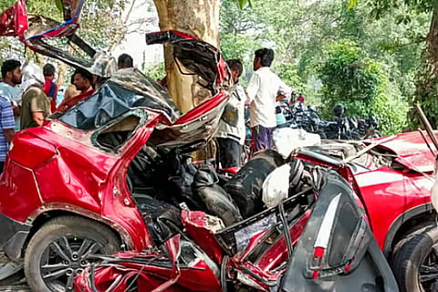 car crashes into tree