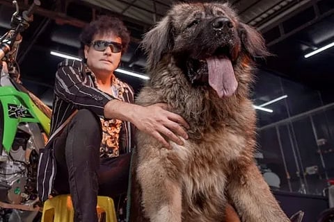 dog